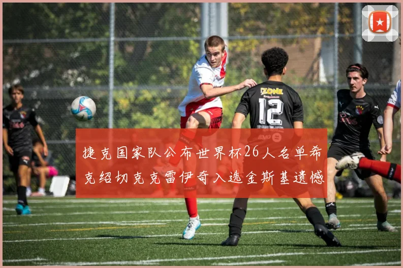 捷克国家队公布世界杯26人名单希克绍切克克雷伊奇入选金斯基遗憾落选
